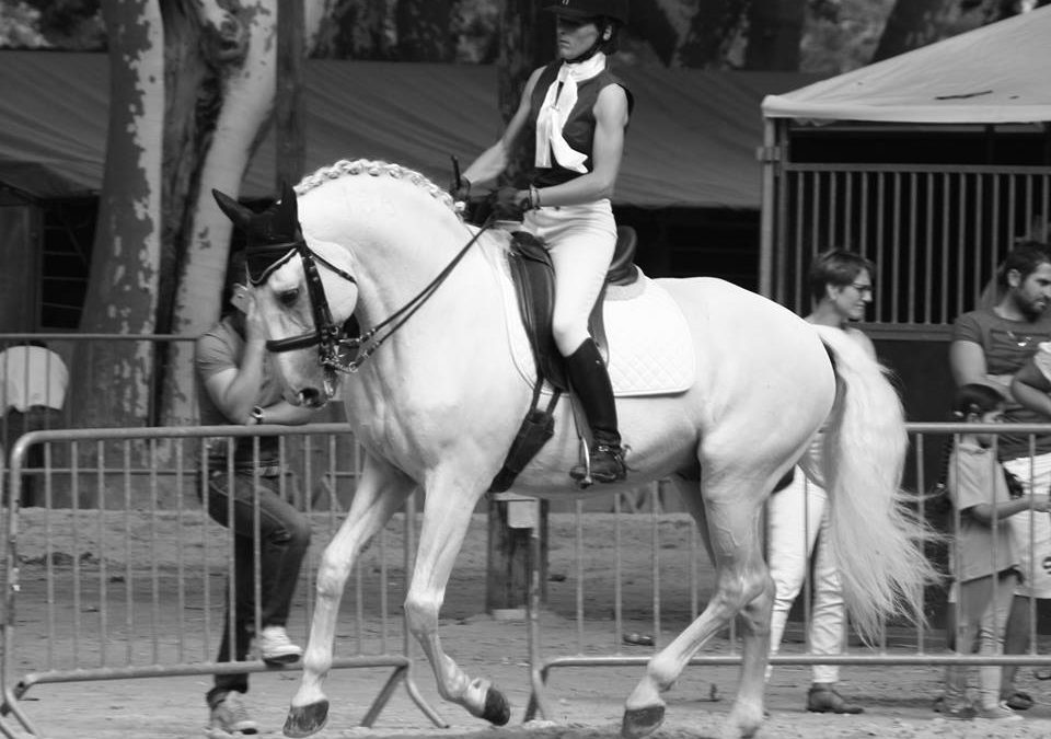 Concours des MCI, rencontres méditerranéennes à Beaucaire