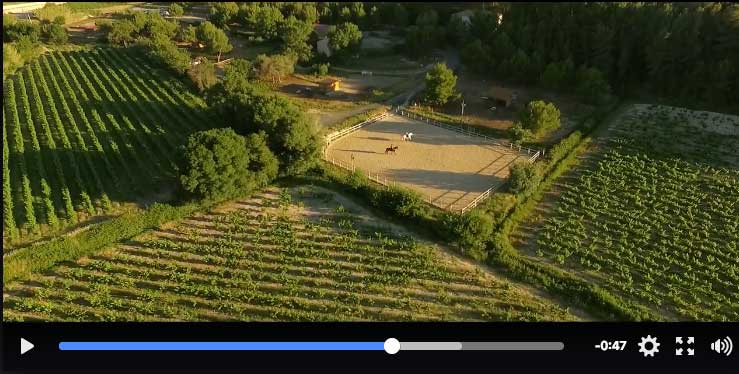 Vidéo Les Ecuries de L’Olivier La carrière au milieu des vignes