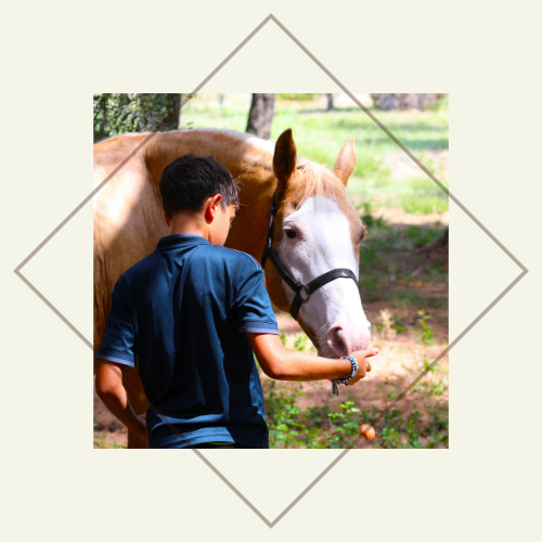 Equi