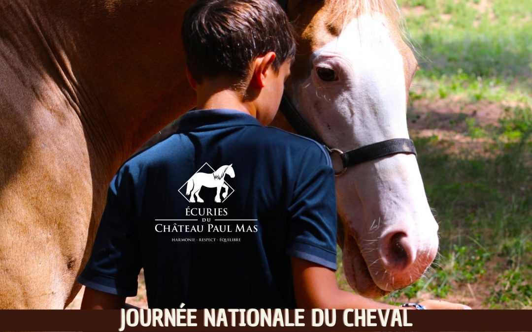 Journée Nationale du Cheval