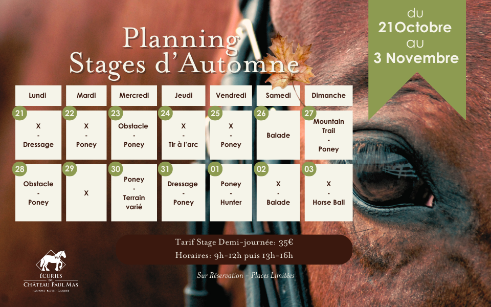 Planning Stages d'Automne Ecuries du Chateau Paul Mas